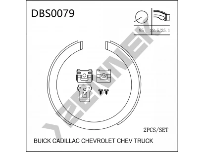 DBS0079