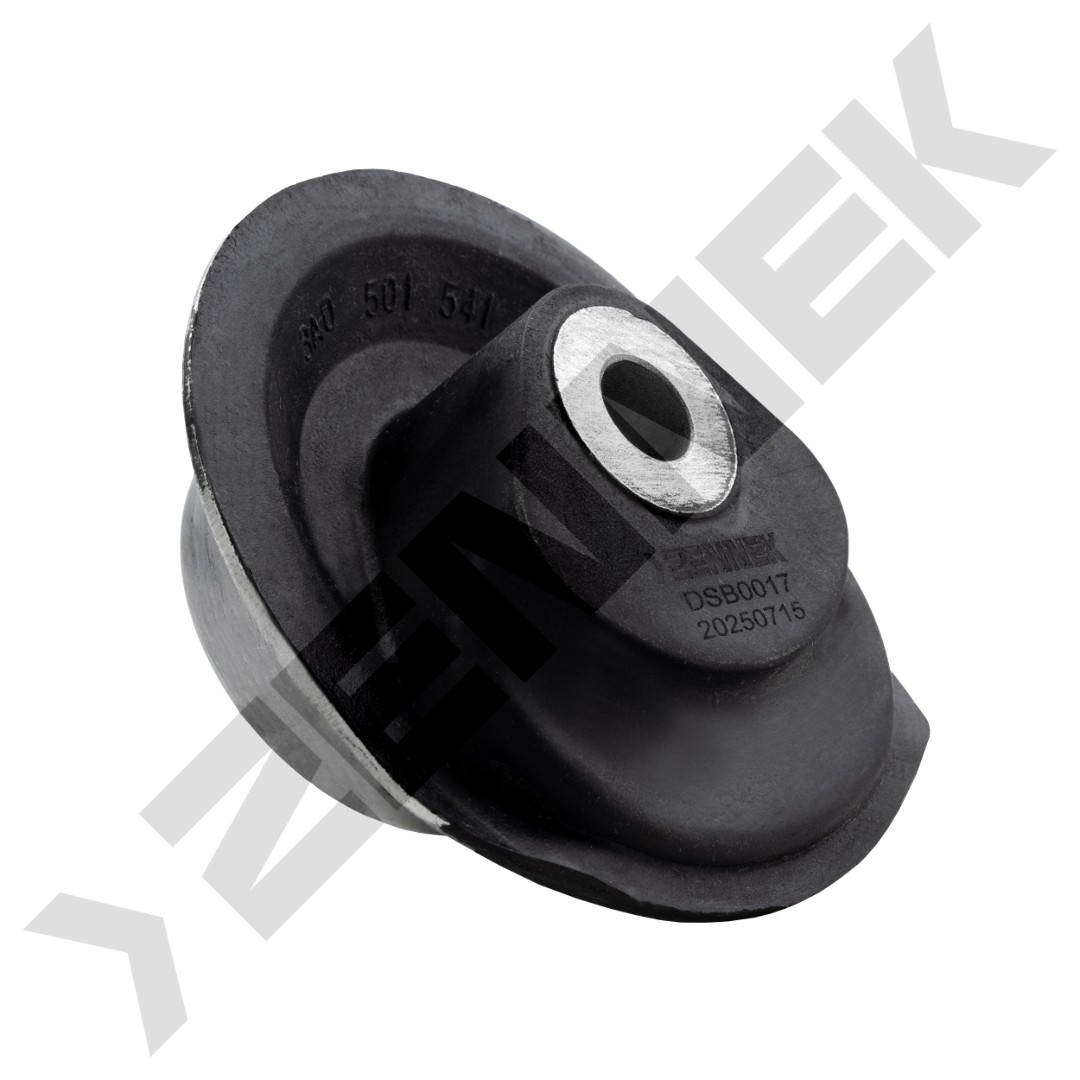 DSB0017 DSB0017_1