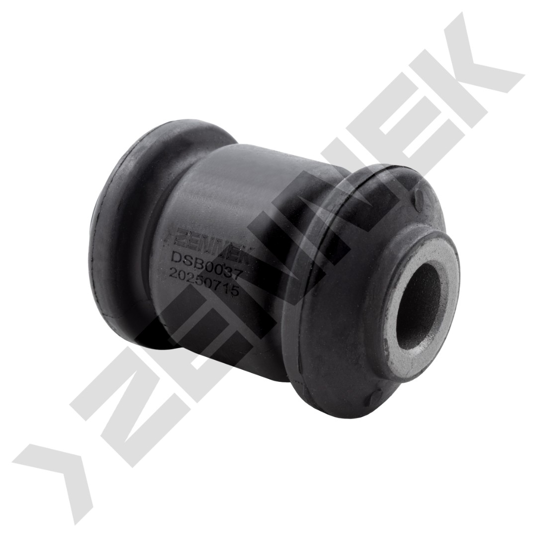 DSB0037 DSB0037_1