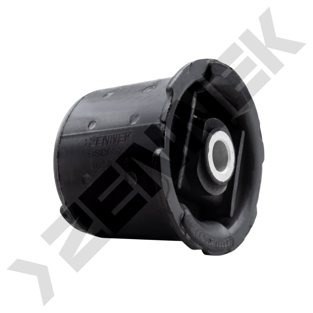 DSB0021 DSB0021_1