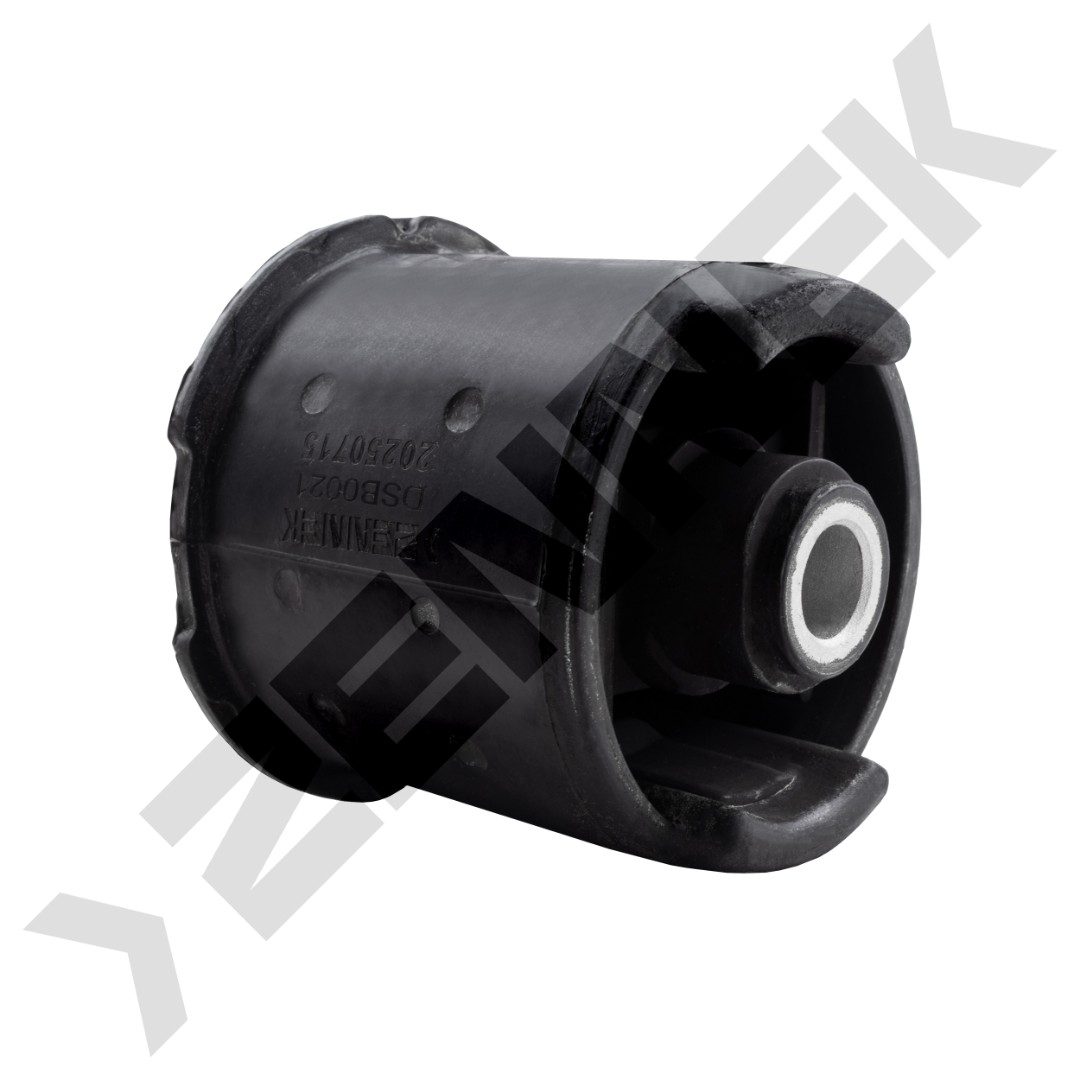 DSB0021 DSB0021_2