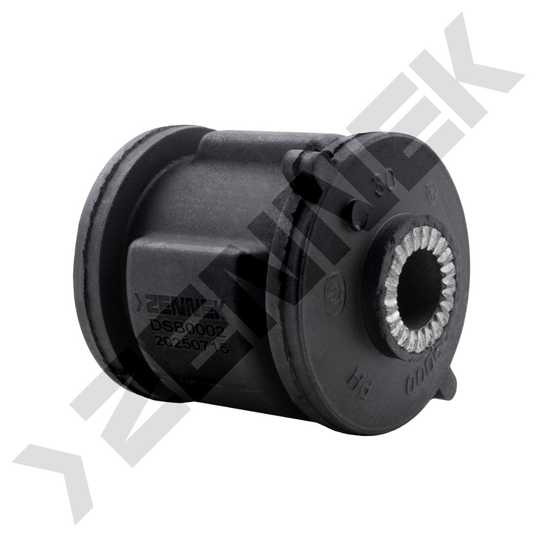 DSB0002 DSB0002_1