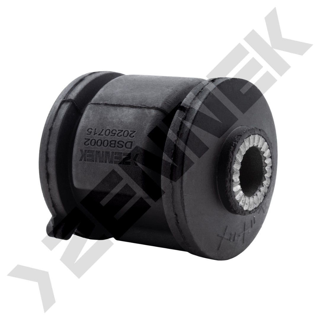 DSB0002 DSB0002_2