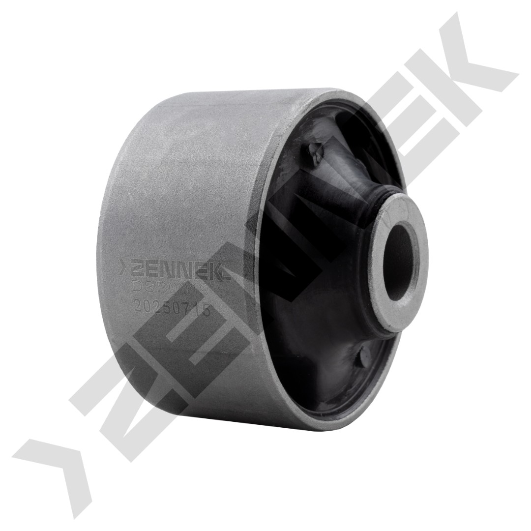 DSB0019 DSB0019_1