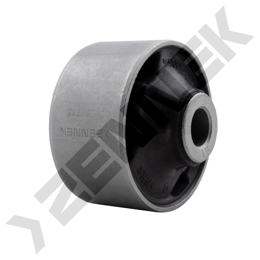 DSB0019 DSB0019_2
