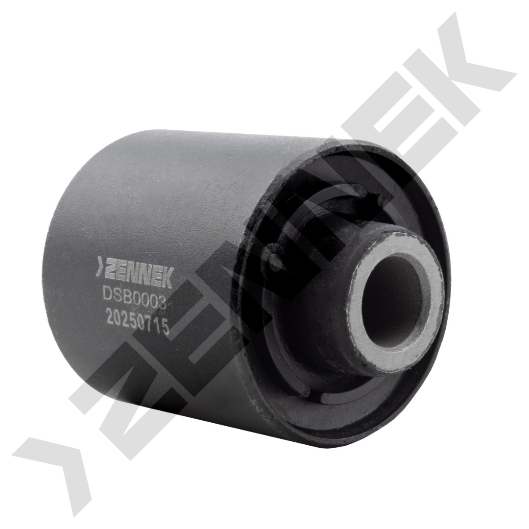 DSB0003 DSB0003_1