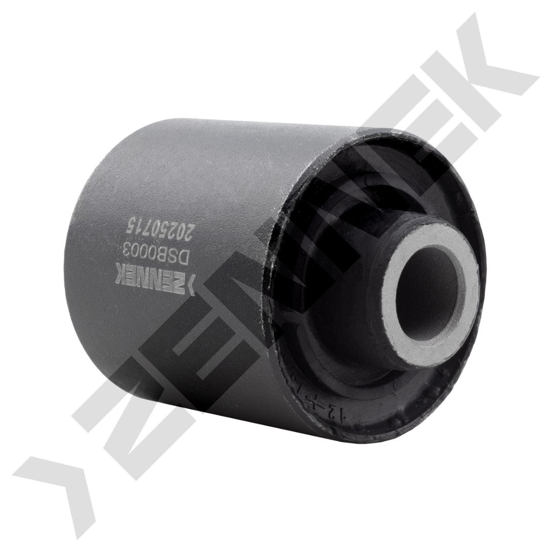 DSB0003 DSB0003_2