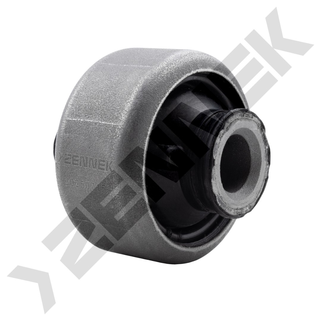 DSB0018 DSB0018_1