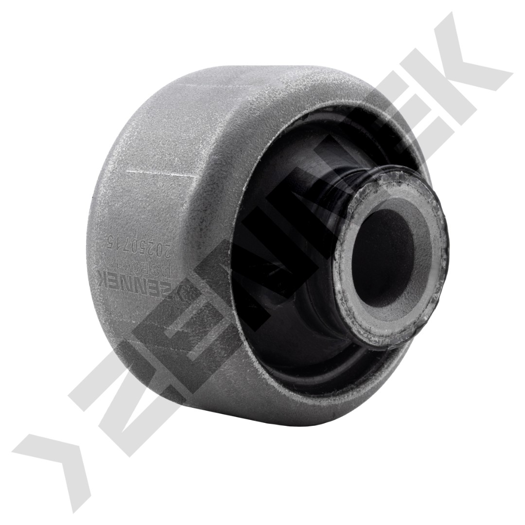 DSB0018 DSB0018_2