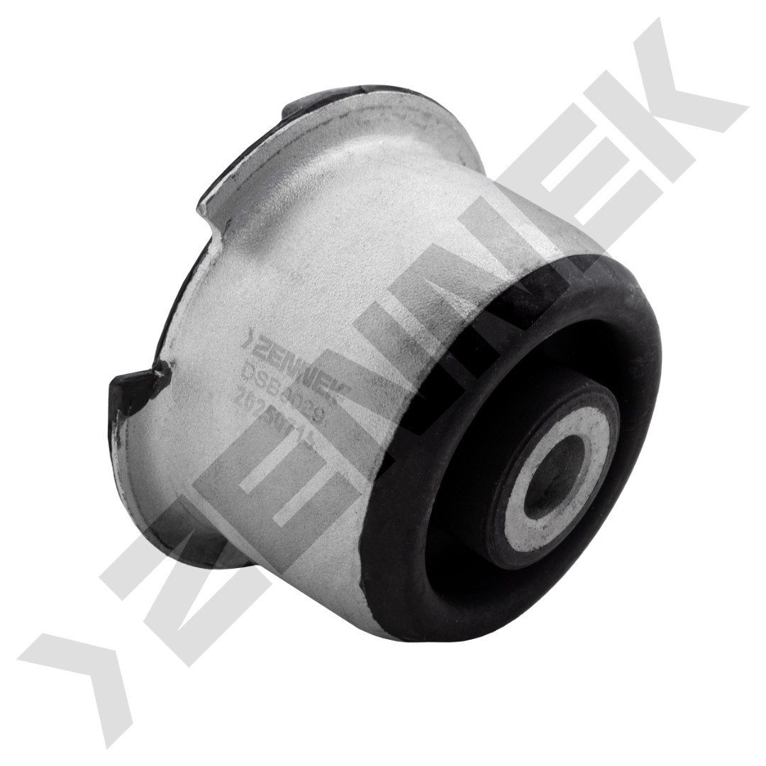 DSB0029 DSB0029_1