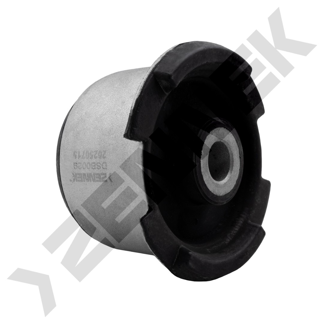 DSB0029 DSB0029_2