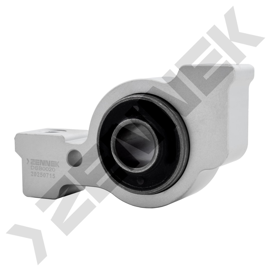DSB0020 DSB0020_1