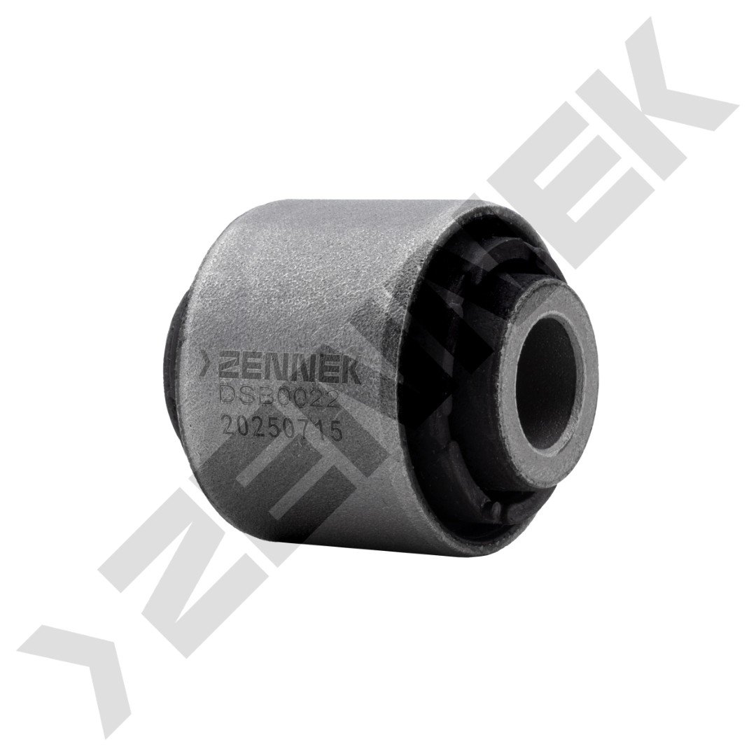 DSB0022 DSB0022_1