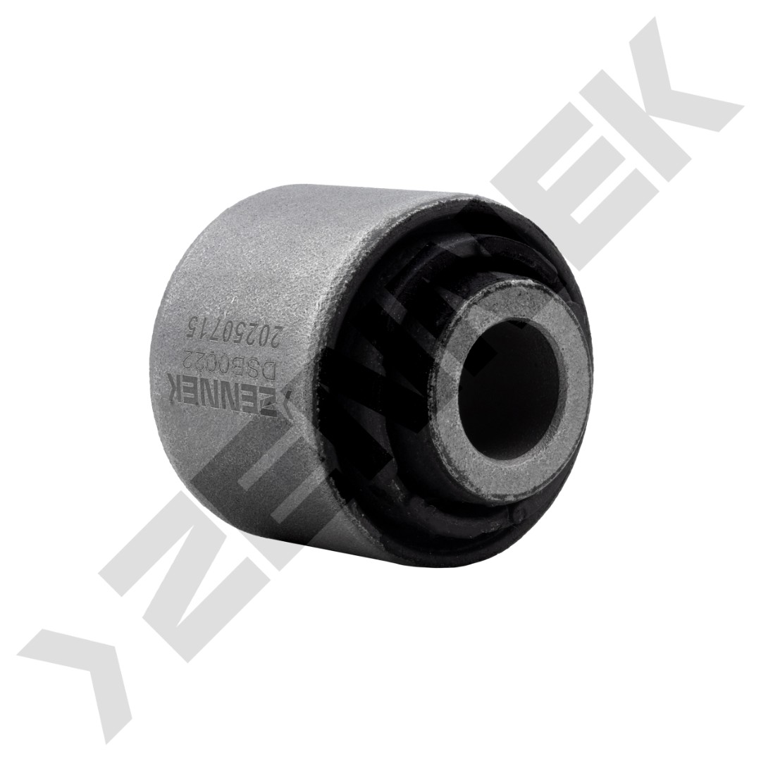 DSB0022 DSB0022_2