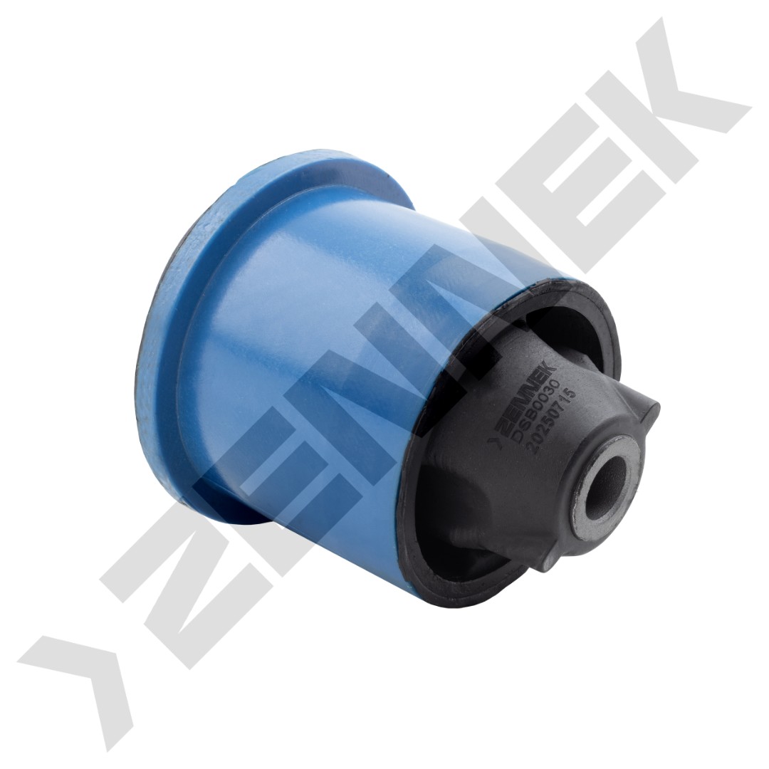 DSB0030 DSB0030_1