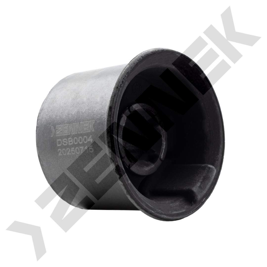 DSB0004 DSB0004_1