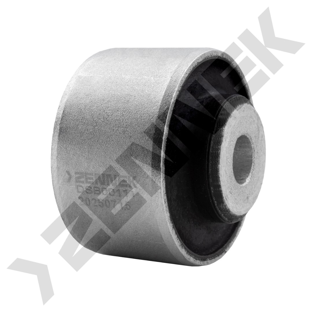 DSB0011 DSB0011_1.2