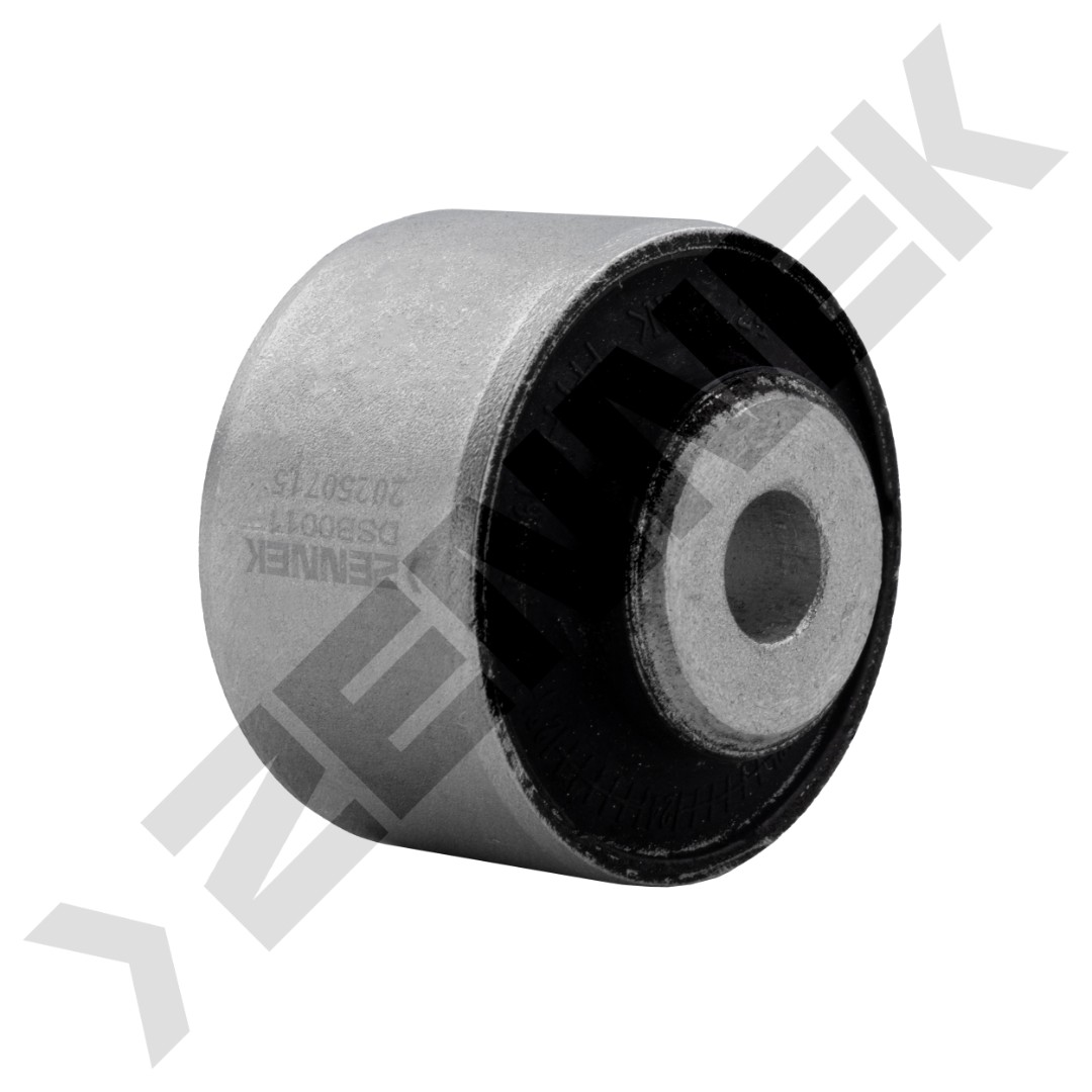 DSB0011 DSB0011_2
