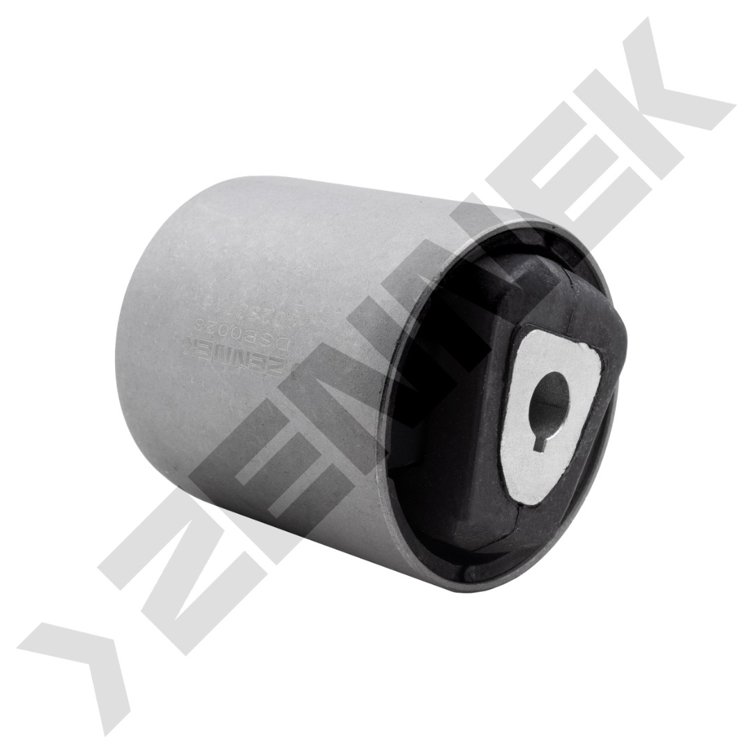 DSB0028 DSB0028_2