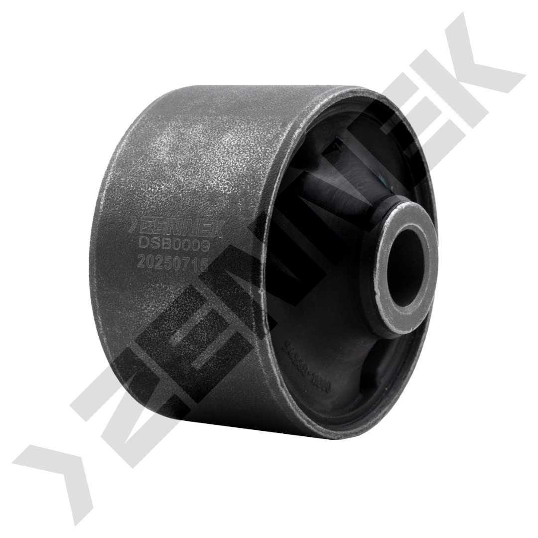 DSB0009 DSB0009_1