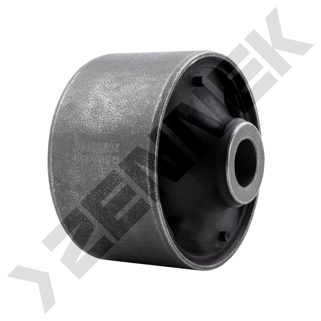 DSB0009 DSB0009_2