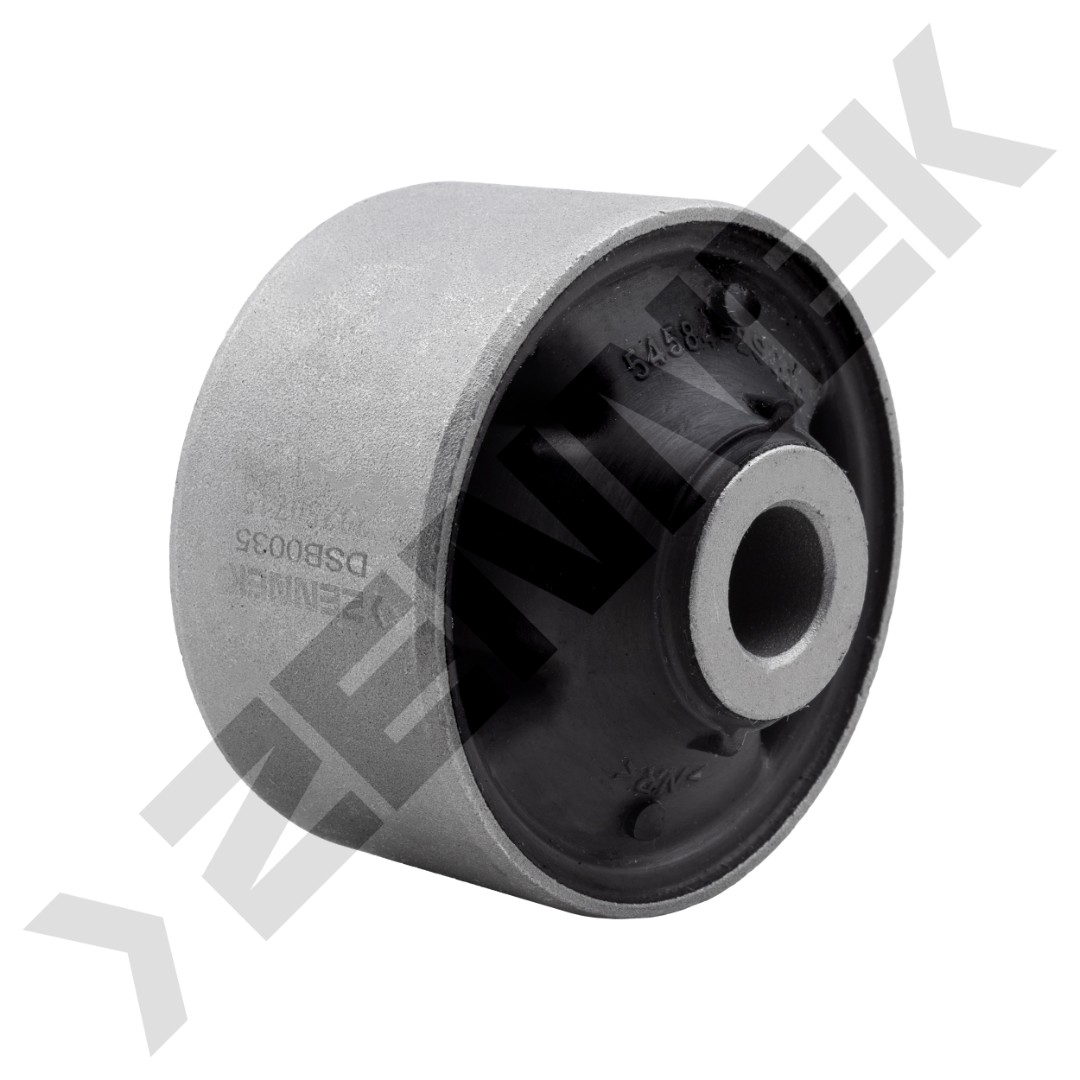 DSB0035 DSB0035_2