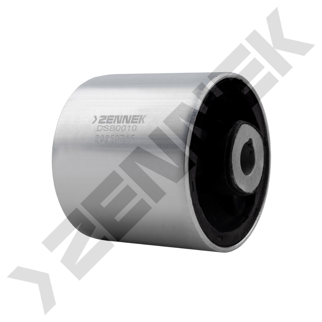 DSB0010 DSB0010_1