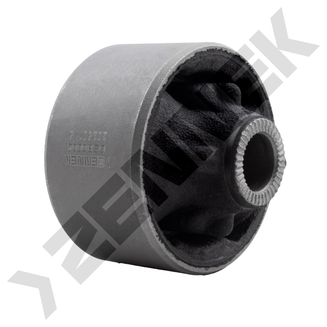 DSB0006 DSB0006_2