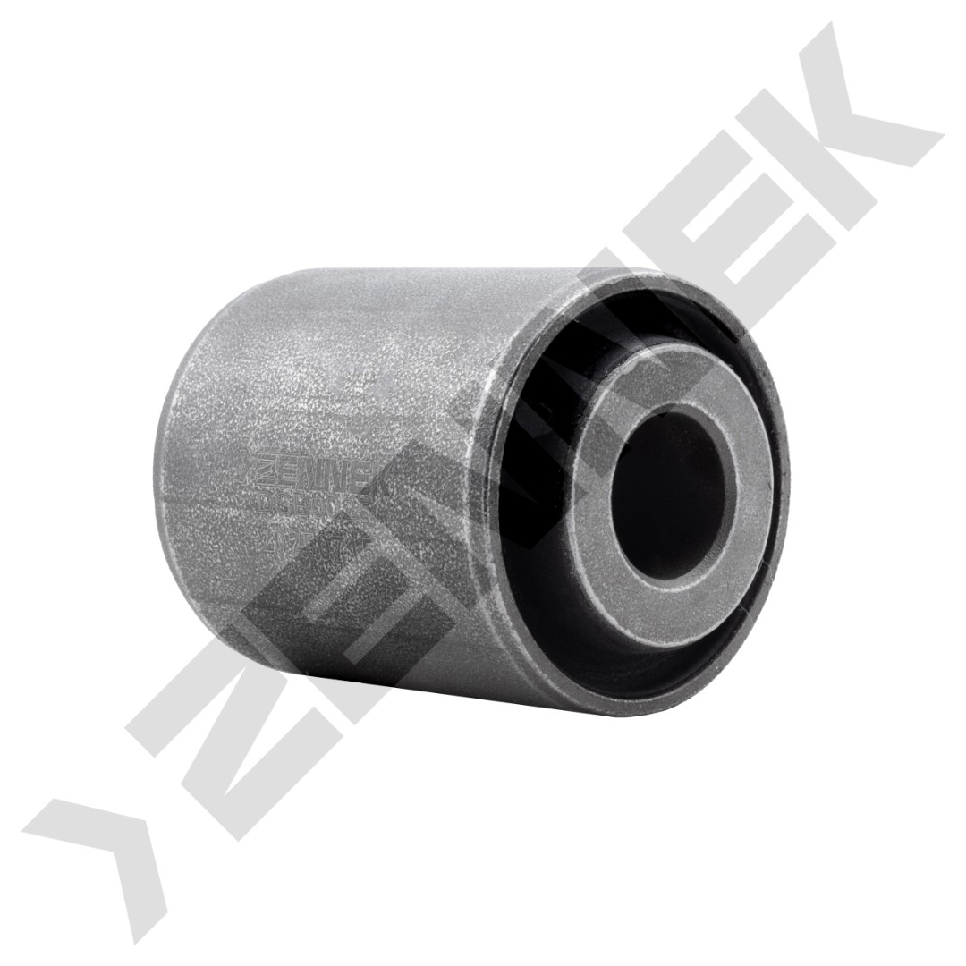 DSB0025 DSB0025_1
