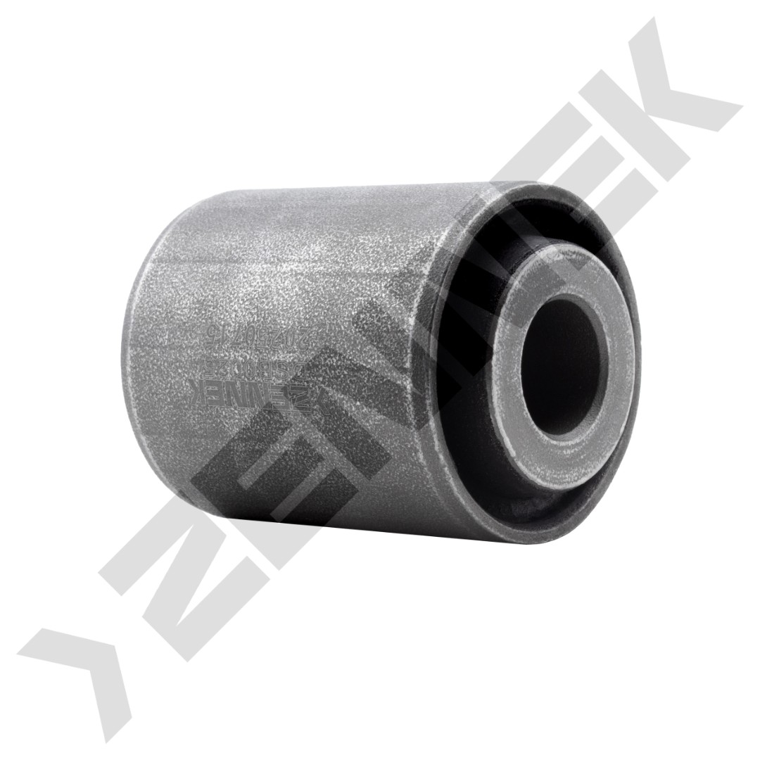 DSB0025 DSB0025_2