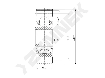 CV joint DCJ0079
